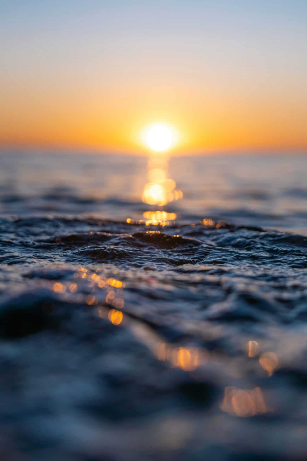 Von Loyalität und Autorität